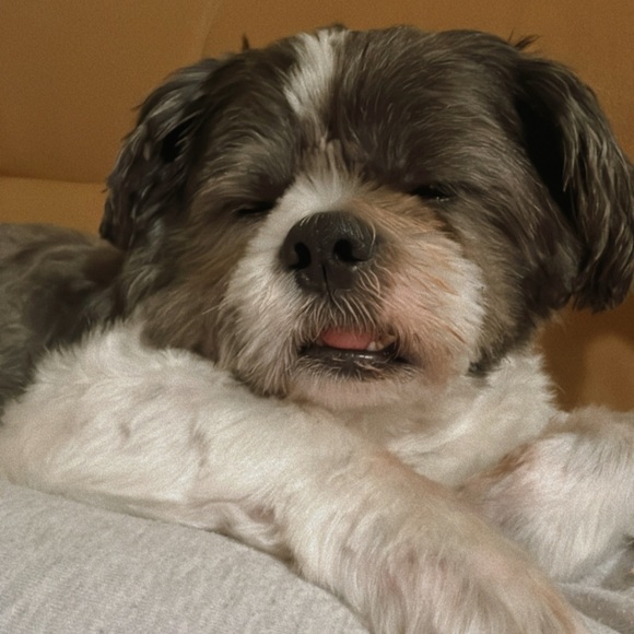 Meet your Posher, W. Z - Picture 1 of 2